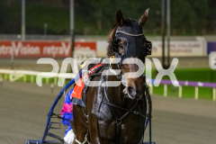 Thelittle-Master_26-06-2026_WIN_Gloucester-Park_2__10