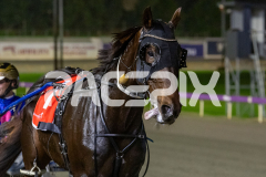 Thelittle-Master_26-06-2026_WIN_Gloucester-Park_2__11