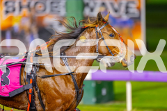 2025_PACEPIX_GP08072025_Race2_ThisTimeJacko_WIN_WEB-10