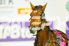 2025_PACEPIX_GP08072025_Race2_ThisTimeJacko_WIN_WEB-12