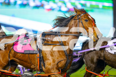 2025_PACEPIX_GP08072025_Race2_ThisTimeJacko_WIN_WEB-3