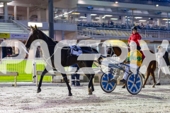 RACE 2 - Tiger Royal