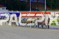 2026_PACEPIX_GP27032026_RACE2_TigerRoyal_WIN_WEB-1