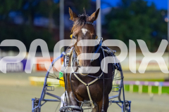 2026_PACEPIX_GP27032026_RACE2_TigerRoyal_WIN_WEB-19