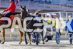 2026_PACEPIX_GP27032026_RACE2_TigerRoyal_WIN_WEB-21