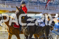 2026_PACEPIX_GP27032026_RACE2_TigerRoyal_WIN_WEB-22