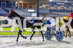 2026_PACEPIX_GP27032026_RACE2_TigerRoyal_WIN_WEB-24