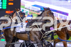 2026_PACEPIX_GP27032026_RACE2_TigerRoyal_WIN_WEB-3