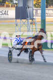 2025_PACEPIX_GP05122025_RACE2_TorpedoRock_WIN_WEB-3