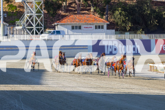 2025_PACEPIX_GP02122025_Race2_TorreveanAmy_WIN_WEB-1