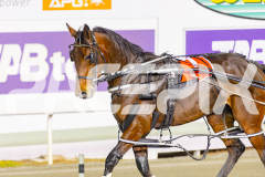 2025_PACEPIX_GP27052025_RACE2_Ultimate-Event_WIN_WEB-19