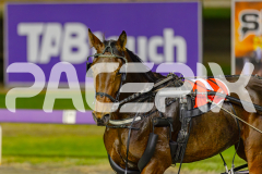 2025_PACEPIX_GP27052025_RACE2_Ultimate-Event_WIN_WEB-21