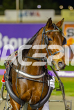 2025_PACEPIX_GP27052025_RACE2_Ultimate-Event_WIN_WEB-23