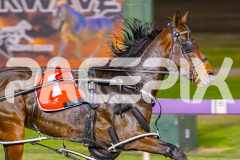 2025_PACEPIX_GP27052025_RACE2_Ultimate-Event_WIN_WEB-5