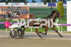 Under-The-Alta_14-04-2026_WIN_Gloucester-Park_2__03