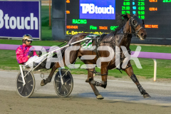 Under-The-Alta_14-04-2026_WIN_Gloucester-Park_2__10