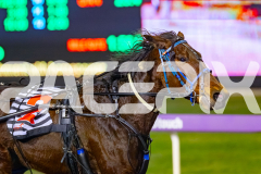 2026_PACEPIX_GP10072026_Race2_UPANDALIVE_WIN_WEB-13