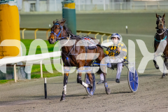 2026_PACEPIX_GP10072026_Race2_UPANDALIVE_WIN_WEB-14