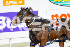 2026_PACEPIX_GP10072026_Race2_UPANDALIVE_WIN_WEB-16