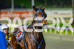 2026_PACEPIX_GP10072026_Race2_UPANDALIVE_WIN_WEB-17