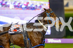 2026_PACEPIX_GP10072026_Race2_UPANDALIVE_WIN_WEB-3