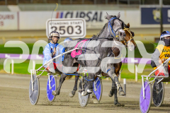 Gloucester Park - 20/05/2025