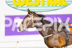 2025_PACEPIX_GP20052025_Race2_ValhallaMiss_WIN_WEB-19