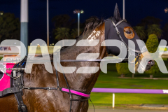 2023_HCC_GP08082025_Race-2_Vegas-Strip_WEB-9