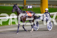 2026_PACEPIX_GP02062026_RACE2_VisitingHours_WIN_WEB-14