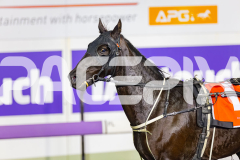 2026_PACEPIX_GP02062026_RACE2_VisitingHours_WIN_WEB-15
