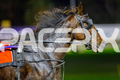 2026_PACEPIX_GP07072026_Race2_Vybrant_WIN_WEB-7