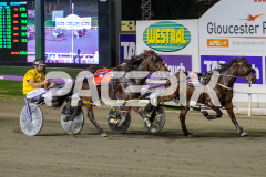 Vybrant_07-07-2026_WIN_Gloucester-Park_2__01