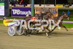 Vybrant_07-07-2026_WIN_Gloucester-Park_2__03