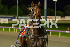 Vybrant_07-07-2026_WIN_Gloucester-Park_2__09