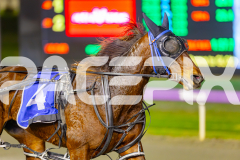 2025_PACEPIX_GP06062025_RACE2_XciteMe_WIN_WEB-15