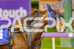 2025_PACEPIX_GP06062025_RACE2_XciteMe_WIN_WEB-16