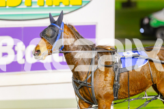 2025_PACEPIX_GP06062025_RACE2_XciteMe_WIN_WEB-19