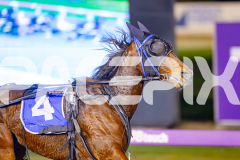 2025_PACEPIX_GP06062025_RACE2_XciteMe_WIN_WEB-4