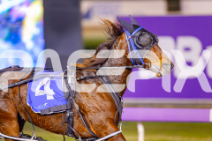 2025_PACEPIX_GP06062025_RACE2_XciteMe_WIN_WEB-7