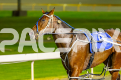 2026_PACEPIX_GP24042026_RACE3_ALittleSilence_WIN_FULL-18