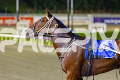 2026_PACEPIX_GP24042026_RACE3_ALittleSilence_WIN_FULL-21