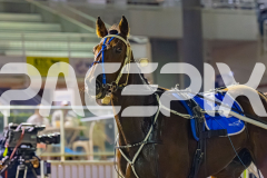 2026_PACEPIX_GP24042026_RACE3_ALittleSilence_WIN_FULL-29