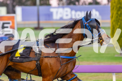 2025_Pacepix_GP30092025_Race2_AmalfiKnight_WIN_WEB-14