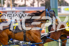 2025_Pacepix_GP30092025_Race2_AmalfiKnight_WIN_WEB-3