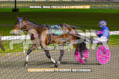 2026_PACEPIX_GP01092026_Race3_AmericanFalcon_WIN_WEB-10