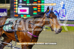 2026_PACEPIX_GP01092026_Race3_AmericanFalcon_WIN_WEB-13