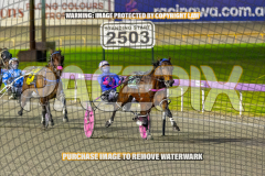 2026_PACEPIX_GP01092026_Race3_AmericanFalcon_WIN_WEB-4