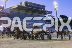 2025_Pacepix_GP26092025_Race3_ArdensHorizon_WIN_FULL-19