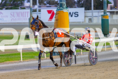 2025_PACEPIX_GP21112025_RACE3_ArmaBeliever_WIN_WEB-17