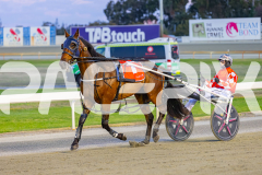 2025_PACEPIX_GP21112025_RACE3_ArmaBeliever_WIN_WEB-18